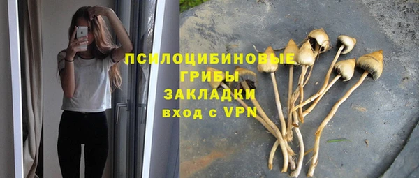 бошки Верея