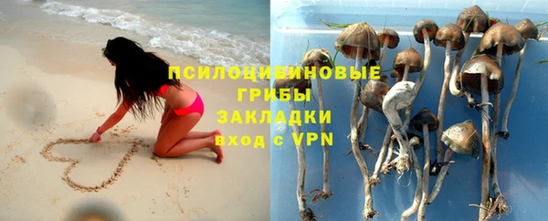 бошки Верея